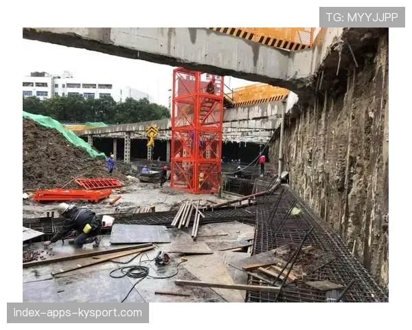 球场夜间观赛区安全巡检日报模板与上报渠道
